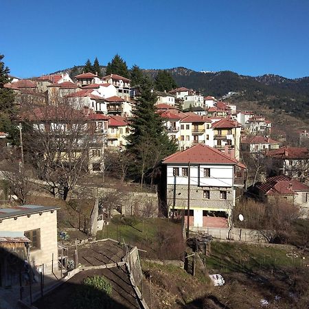 Balkone In Montagna Villa Metsovo Exteriör bild