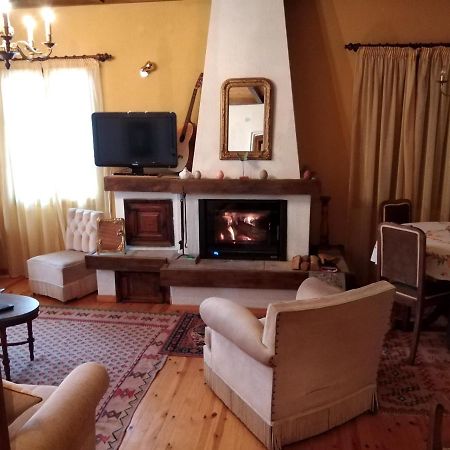 Balkone In Montagna Villa Metsovo Exteriör bild