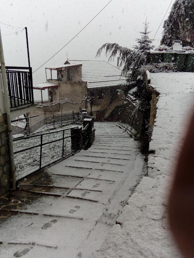 Balkone In Montagna Villa Metsovo Exteriör bild