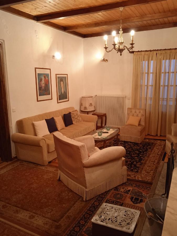 Balkone In Montagna Villa Metsovo Exteriör bild